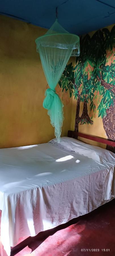 Hostel La Gloria Ометепе Экстерьер фото